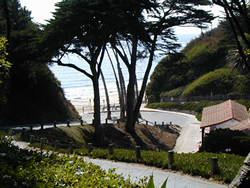 ocean1